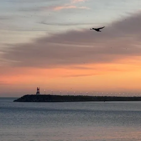 Premium Sea View Retreat With Ac - 10 Min شقة سيسيمبرا